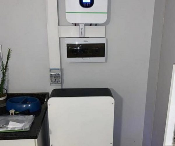 Solar Inverter With Panel